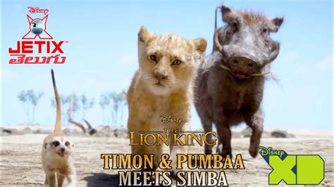 Timon&Pumbaa Meets Simba 1994 Jetix Telugu Cartoon Voice From The Lion ...