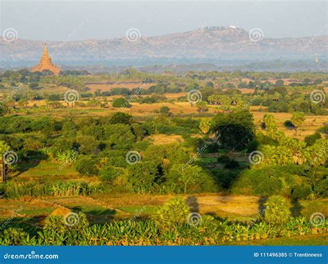 Hot Air Balloons Over Myanmar In The Summer Editorial Image Image Of Lying Balloons