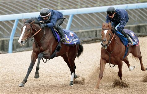 【有馬記念】ローシャムパークは海外遠征後も順調そのもの 田中博調教師は舞台適性に言及 スポーツ報知