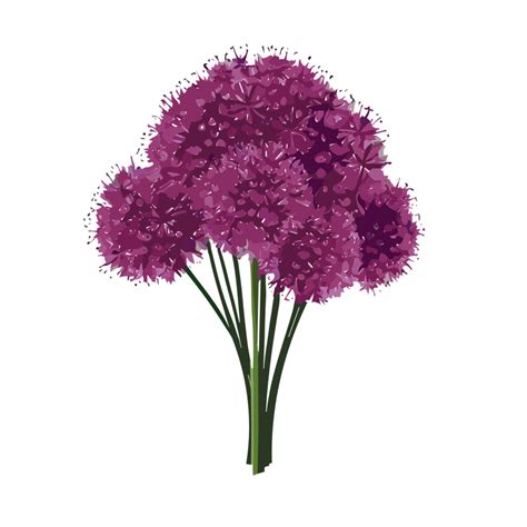 Allium Flower Bouquet Ai Generative Png