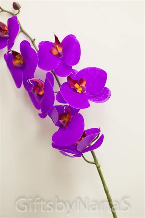 Purple Real Touch Orchids Real Touch Flowers Royal Purple - Etsy