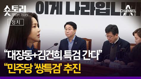 숏토리정치 대장동김건희 특검 간다 민주당 쌍특검 추진 Youtube