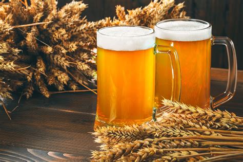 What Is Malt In Beer Understanding The Role Of Malt In Beer Beer Is