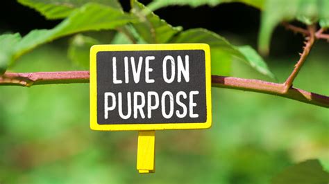 Live With Purpose My Home Inspector Pro