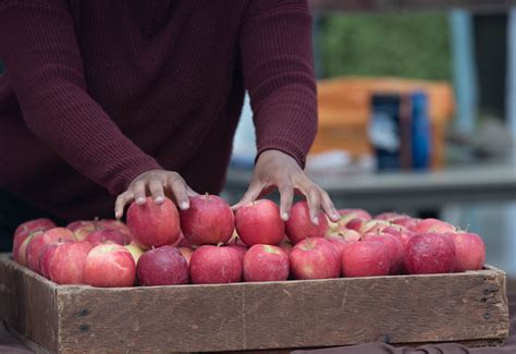 Upcoming Events Neighborhood Farmers Markets