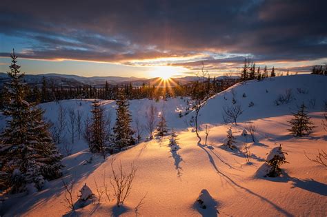 Fonds Decran Hiver Levers Et Couchers De Soleil Neige Picea Rayons De