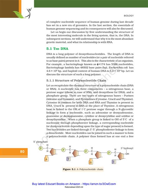 Solution Ch Molecular Basis Of Inheritance Studypool