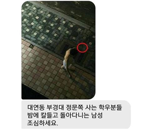 또 묻지마 살인 부산 대연동 흉기남 사진 해프닝에 페이스북이 들썩 네이트 뉴스