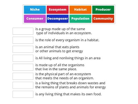 Ecosystem Match Up