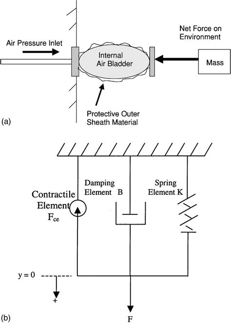 schematic drawing   pneumatic muscle   element