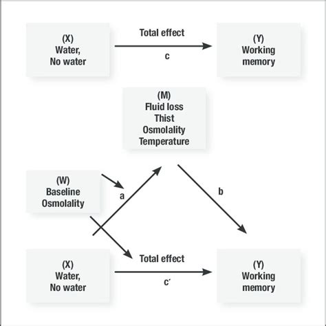 Schematic Of The Moderated Mediation Analysis Download Scientific Diagram