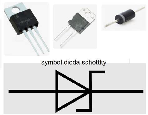 Dioda Schottky Definisi Penggunaan Dan Keunggulannya