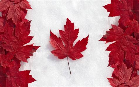 The Canadian Flag Wallpapers - Top Free The Canadian Flag Backgrounds ...