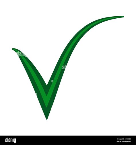 Double Green Check Mark Approval Confirmation Mark Verification Check