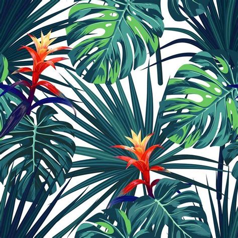 Papier Peint Fond Tropical Exotique Avec Des Plantes Et Des Fleurs