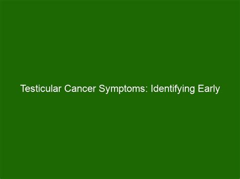 Testicular Cancer Symptoms Identifying Early Signs And Taking Action