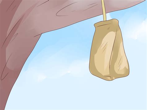 How To Get Rid Of A Wasps Nest With Pictures Wikihow