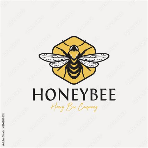 Honey Bee Logo Design Inspiration For Honey Company Stock Vector