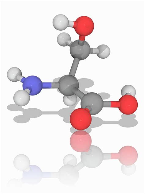 Serine Organic Compound Molecule Photograph By Laguna Design Science