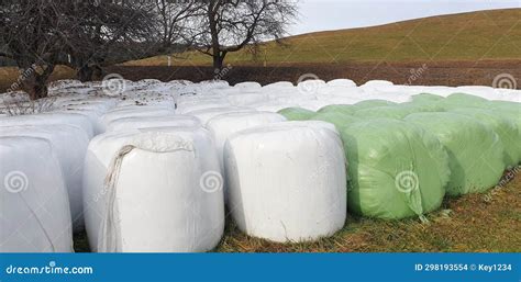 Round Bales Of Silage Wrapped In Plastic Protection Stock Photo