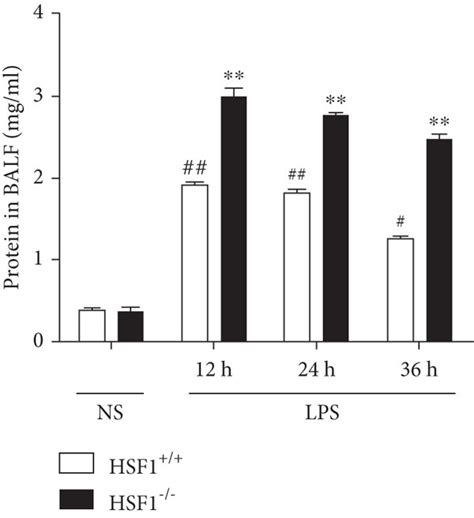 HSF1 Reduced Lung Tissue Injury And Improved The Outcome Of LPS Induced