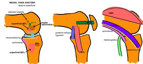 Balancing Tka Hip Knee Book