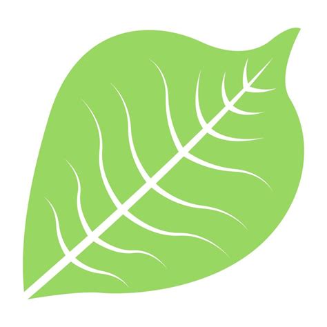 Bird Cherry Leaf 4672478 Vector Art at Vecteezy