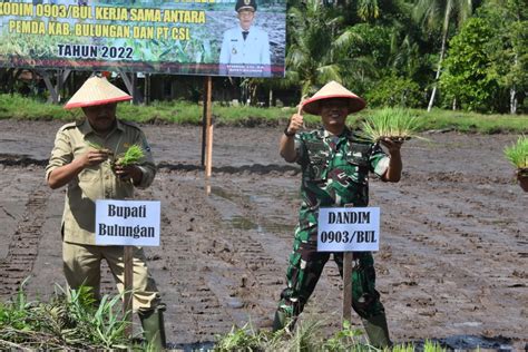 Ketahanan Pangan Diperkuat Persiapan Penyangga Pangan Ikn Dan Kipi