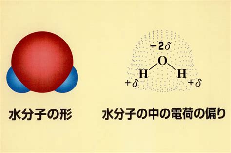 パターン14 14、水分子の形と水分子の中の電荷の偏り