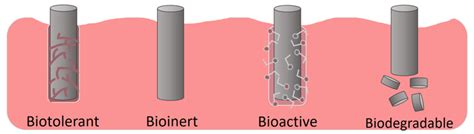 What Is A Biocompatible Material Deringer Ney