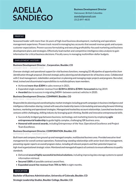 Business Development Resume Example And Writing Guide