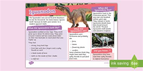 Iguanodon Fact File (Teacher-Made) - Twinkl