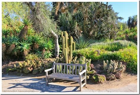 Huntington Desert Garden: agaves, cacti and other New World succulents