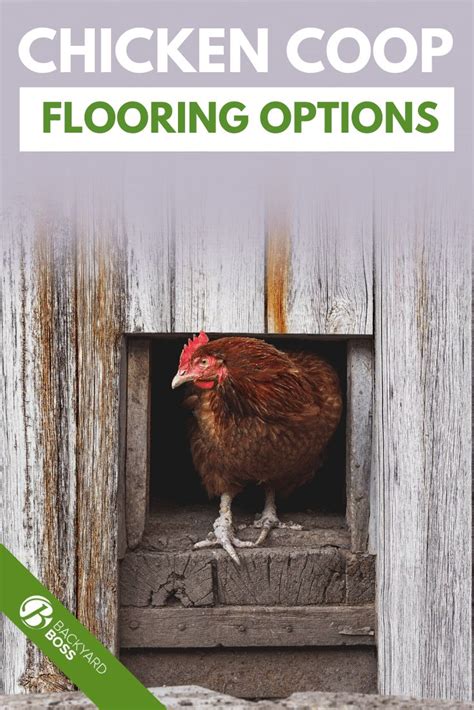 The Best Floor for a Chicken Coop | Chicken coop blueprints, Chicken shed, Chicken coop options