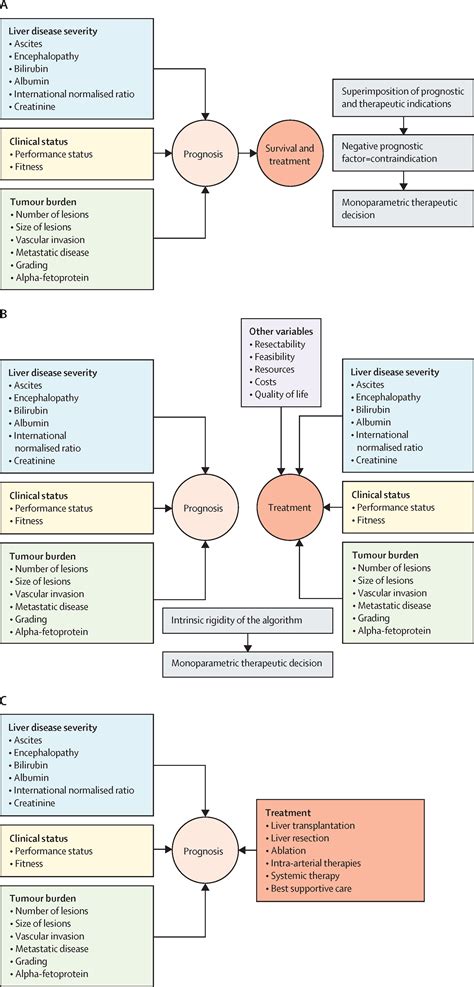 Personalised Management Of Patients With Hepatocellular Carcinoma A