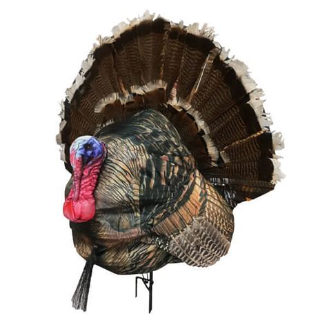 MONTANA DECOY WILEY TOM 3D STRUTTING GOBBLER TURKEY DECOY Camofire