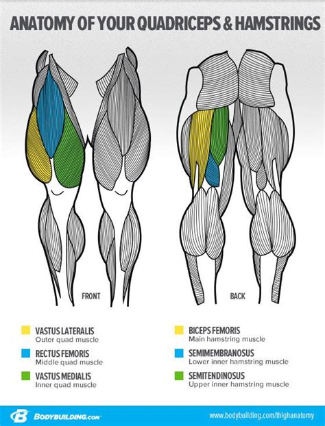 Ask The Siege Whats The Best Way To Build Big Legs