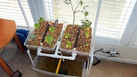 20 Useful Diy Aquaponics Systems And Plans Blitsy