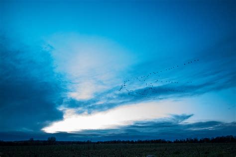 Free Images Horizon Cloud Sky Sunlight Dawn Dusk Evening