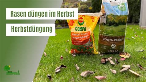 Rasen düngen im Herbst Der richtige Zeitpunkt für Herbstdüngung