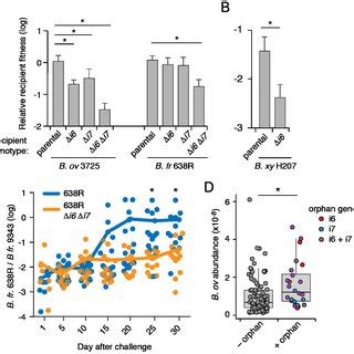 T Ss Orphan Immunity Genes Are Widespread And Abundant In Human