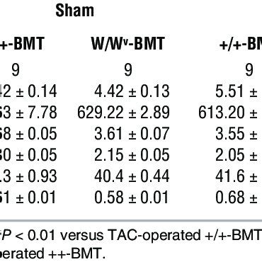 Echocardiographic Measurements In TAC And Sham Operated Mice With Or