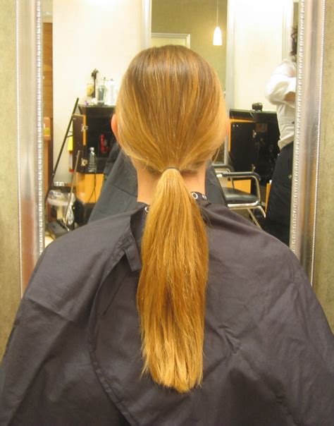 filethe ponytail  intactjpg wikimedia commons