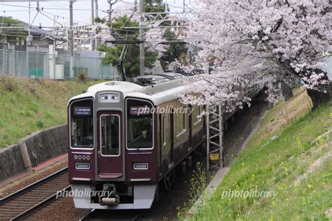 阪急9000系9000fと桜 写真素材 7048551 フォトライブラリー Photolibrary