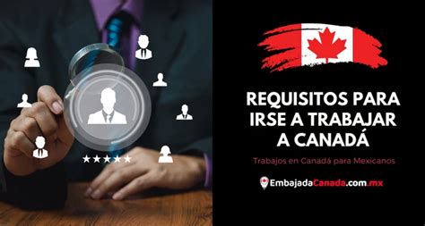 Trabajo en Canadá para Mexicanos Guía 2025