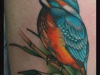 7 Kayleigh Tattoo Ideas Kingfisher Tattoo Kingfisher Tattoos