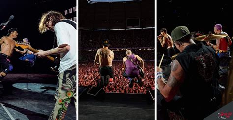 Cuál será el set list de los Red Hot Chili Peppers en Vive Latino