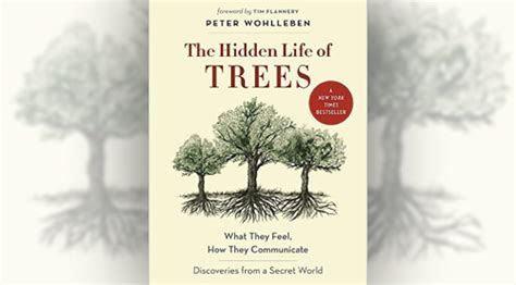 The Secret Life Of Trees Books And Ideas