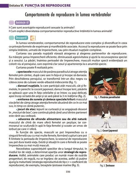 Biologie Pentru Clasa A VII A A796 Pdf Pag 106