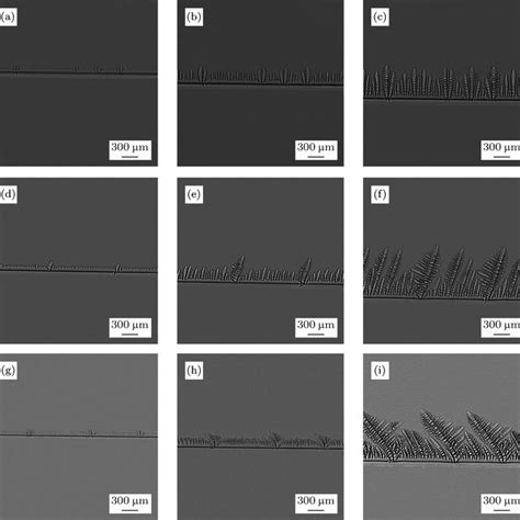 Planar Growth Of The Solidification Front At The Beginning Of The Download Scientific Diagram